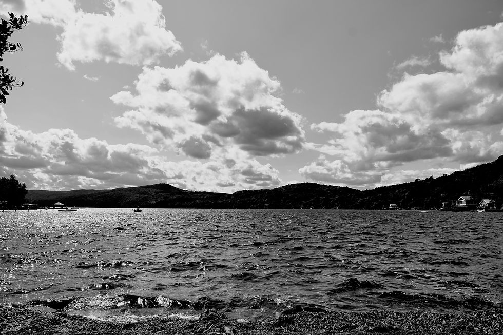 DSC_0031