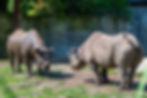 Potter Park Zoo