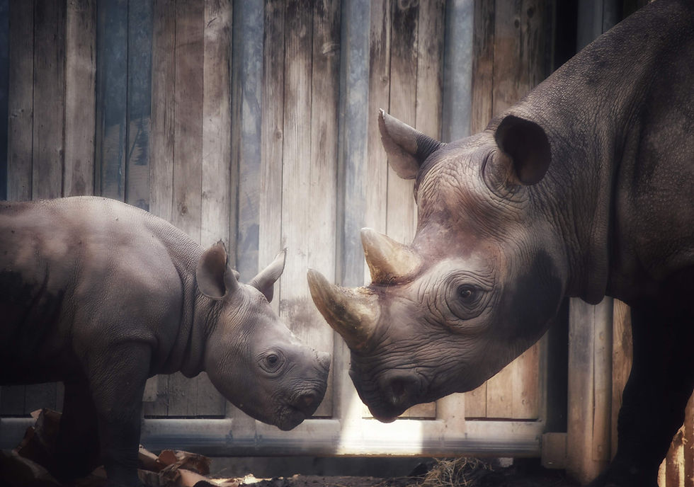 IMG_20190809_223708_345