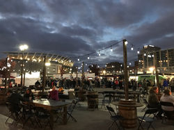Carousel Lights & Vineyard Set Up