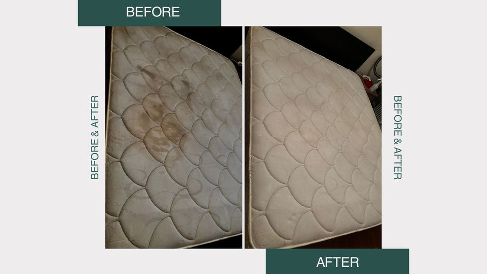 Before & After Images Clean Me Up