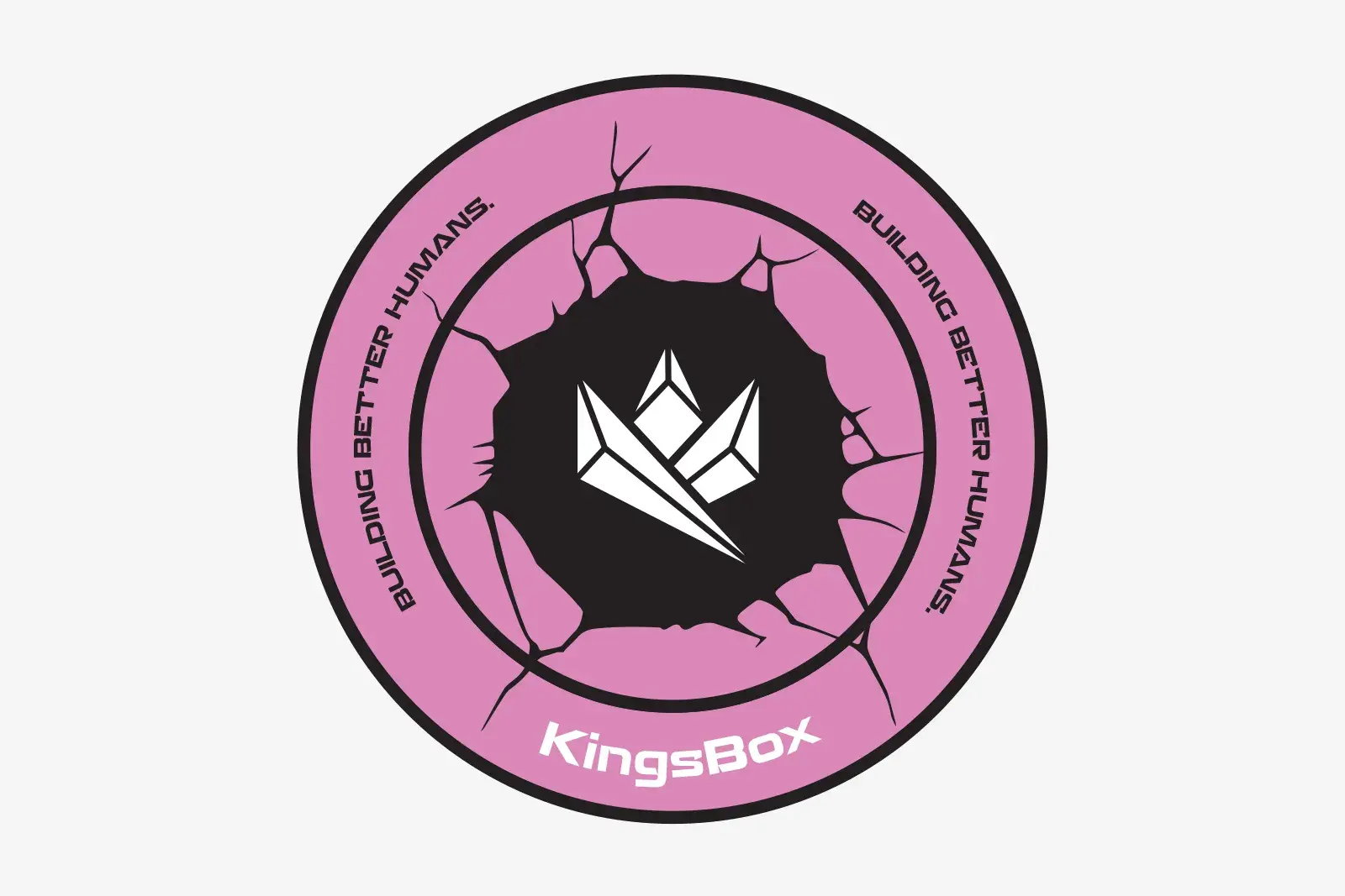 Wall Ball Target Stickers