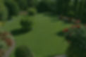 Large Garden_edited_edited.jpg