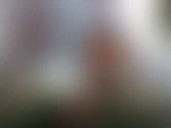 Why all the Debt Hysteria?