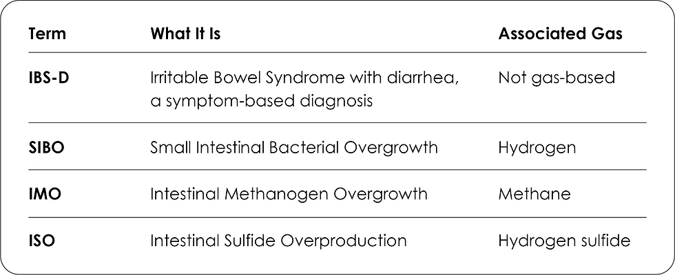 A table explaining the differences between IBS-D, SIBO, IMO, and ISO