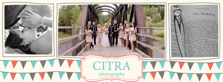 abbotsfordweddingphotographer