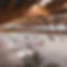 CSO-Manege-0011_edited.jpg