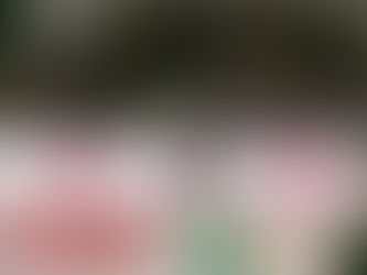 Un week-end formateur à Bourg-en-Bresse