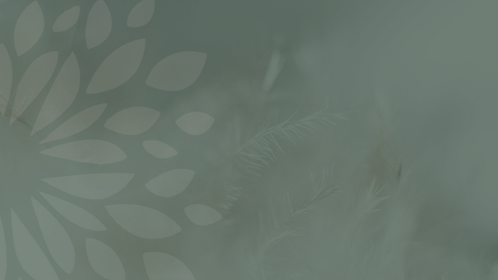 YouTube Banner EWY copy.png