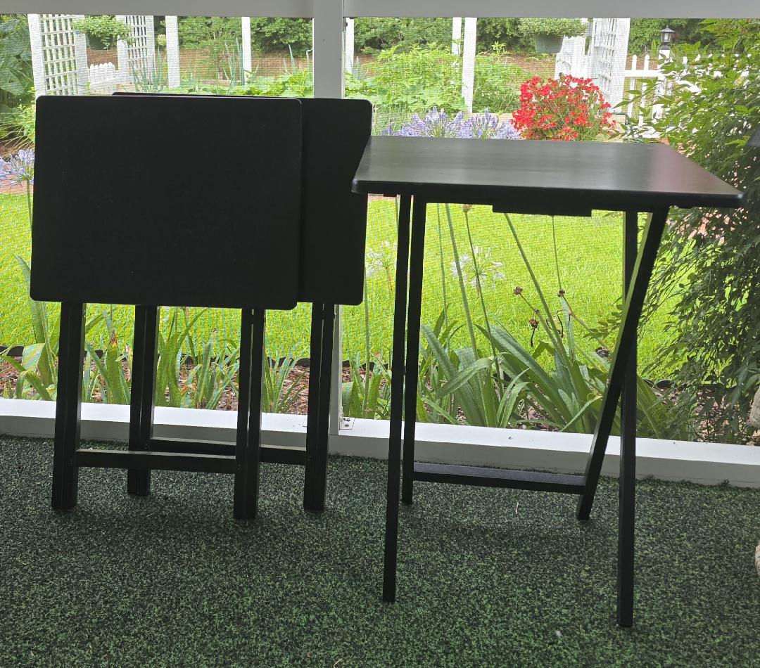 Set of 3 TV Trays