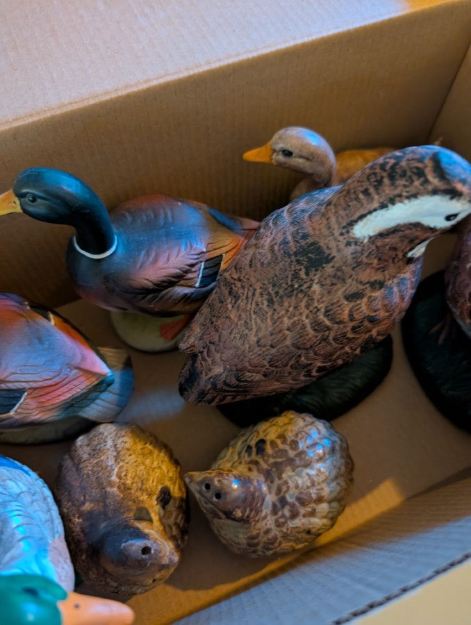 Thumbnail: Box of 8 Decorative Bird Figures