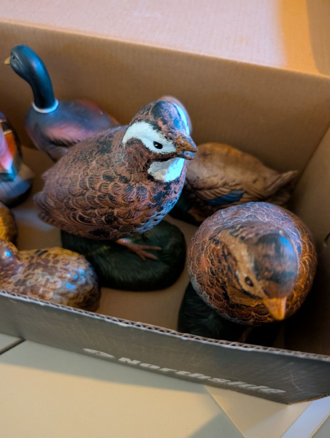 Thumbnail: Box of 8 Decorative Bird Figures