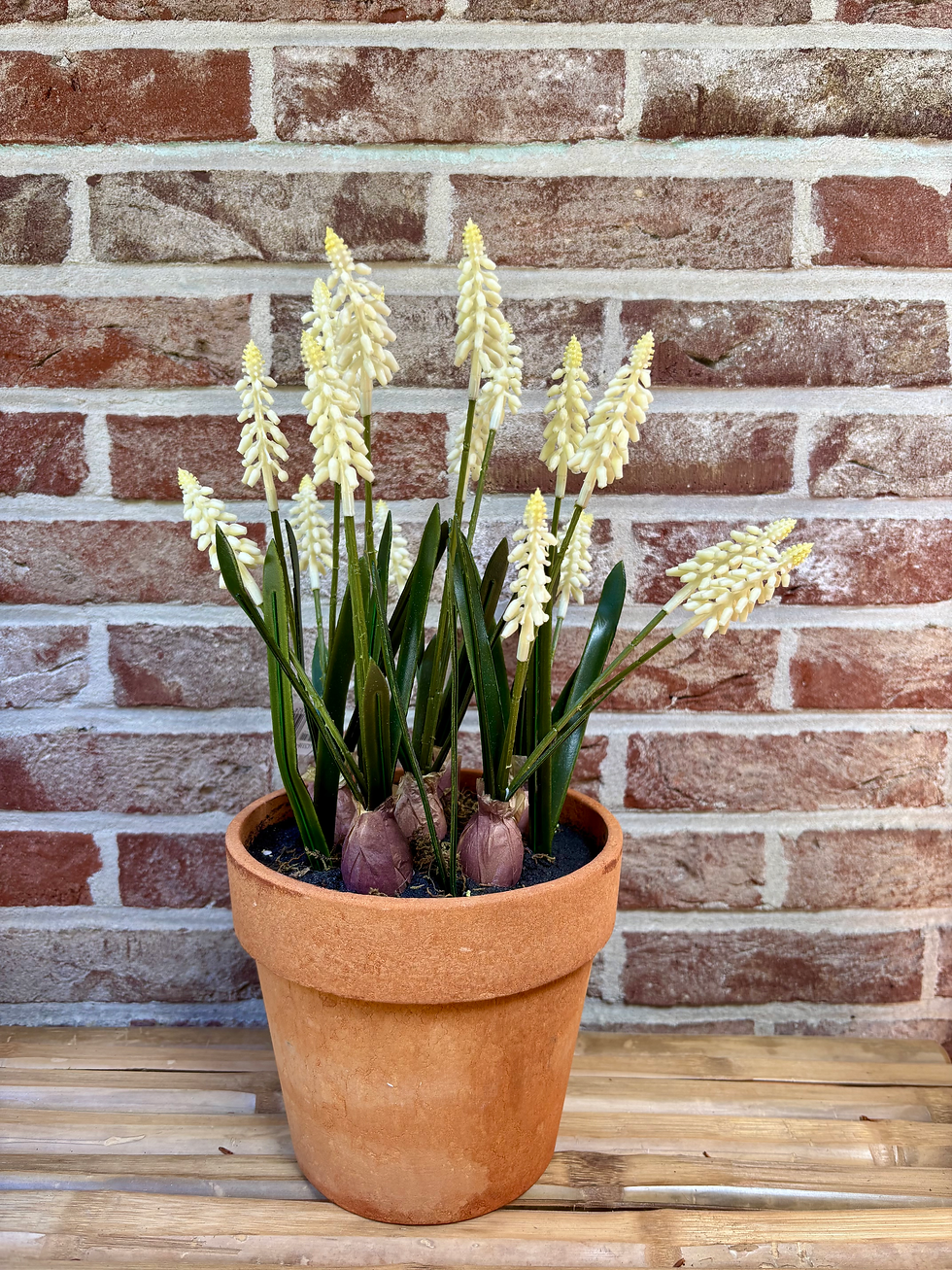 Thumbnail: Kunst druifjes in terracotta pot