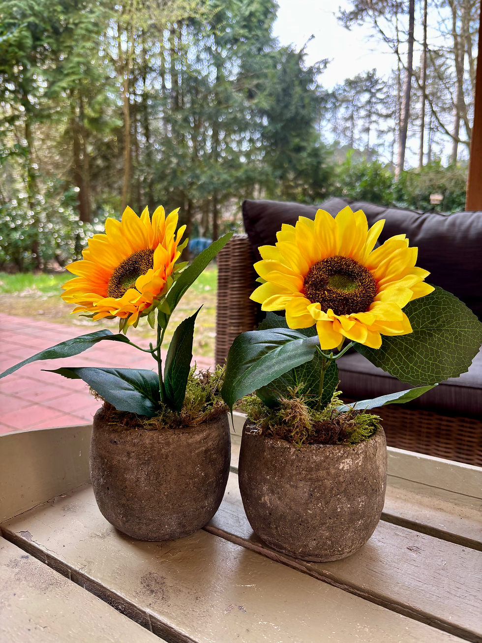 Thumbnail: Kunst zonnebloem