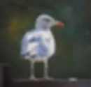ree