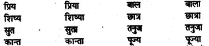Bihar Board Class 10 Hindi व्याकरण लिंग