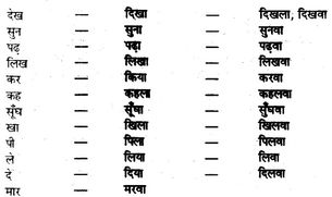 Bihar Board Class 10 Hindi व्याकरण क्रिया-भेद