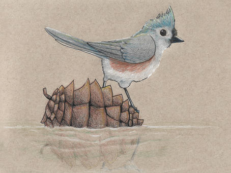 How Birding Amplifies Art