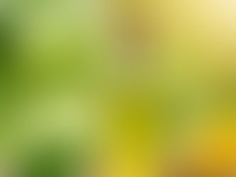 The Power of Natural Oils in Skincare