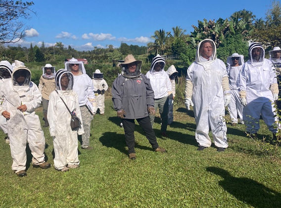wise women beekeepers retreat