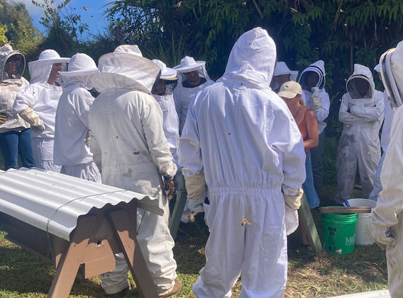 wise women beekeepers retreat