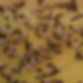 2BC3401A-AB51-405A-859F-C3AE801948B9_edited.jpg
