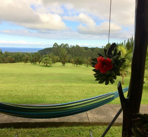 wise women beekeepers retreat