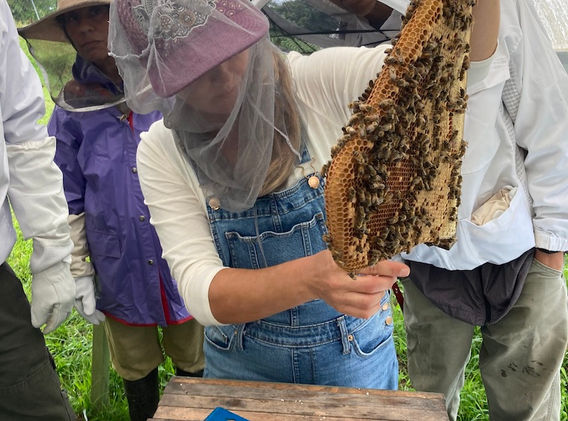 wise women beekeepers retreat