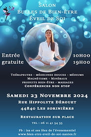 Affiche Les Sorinières.jpg