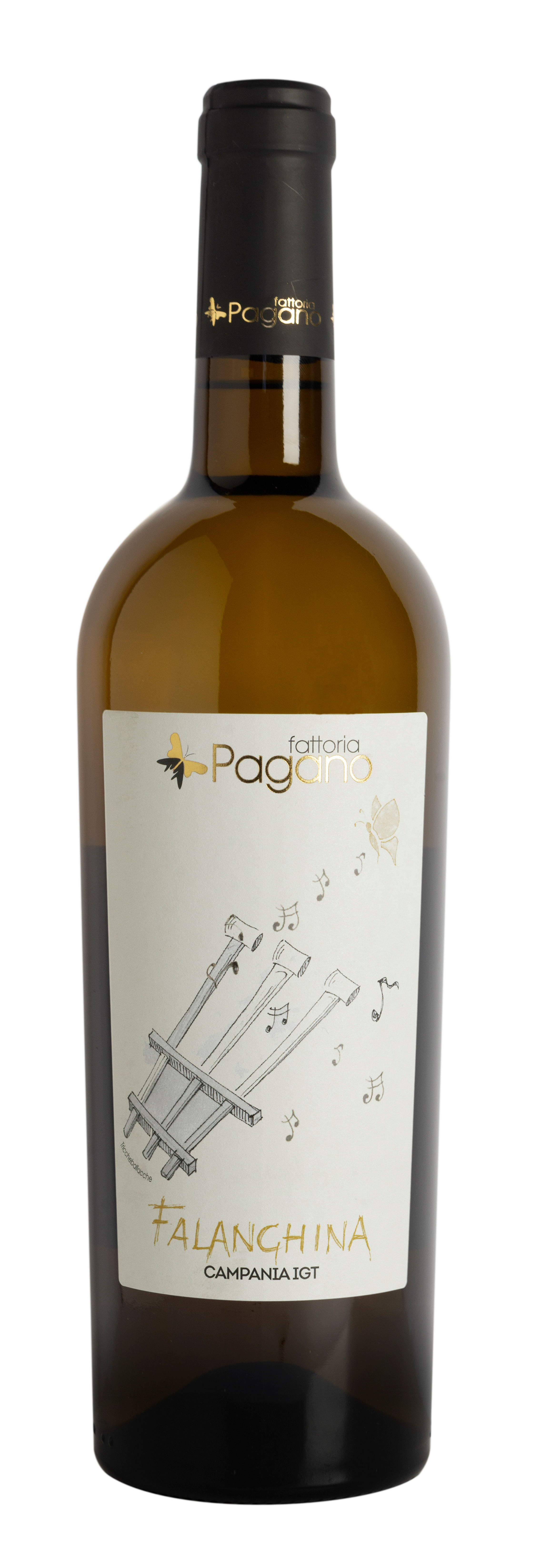 Falanghina