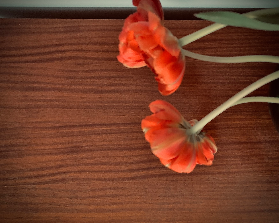 Miniatyrbild: Byrå i mahogny klädd i Eldblomman Svenskt Tenn 