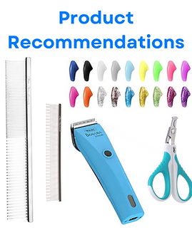 new website design (2).png