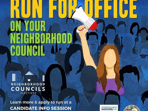 Neighborhood Council Elections!