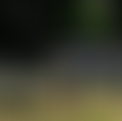 Improvements to Genesee Park!