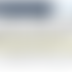 Give your comment on changes to Adams Blvd!