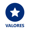 icone-valores.png
