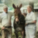 unnamed (2)_edited.jpg