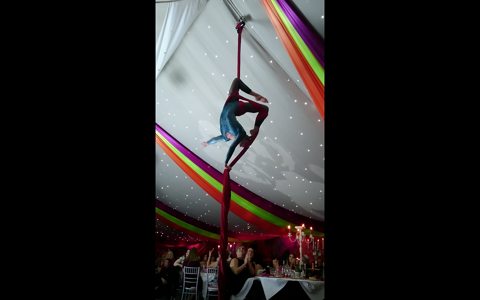 Silks