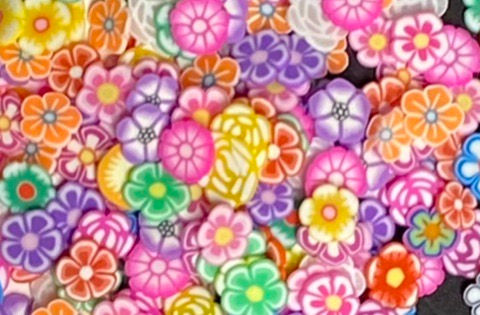 Thumbnail: Flower Shapes