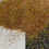 Thumbnail: Penny Ultrafine Holographic