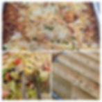 Meal Packages