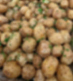 Roasted Yukon Gold Baby Potatoes