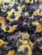 Blueberry Cream Casserole