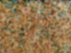 Green Beans Casserole
