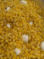 Sweet buttered Corn