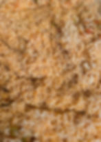 Spanish Rice