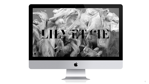 lily+et+cie_4.15.16.PRESO_Page_08.png