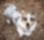 Ethel Mae