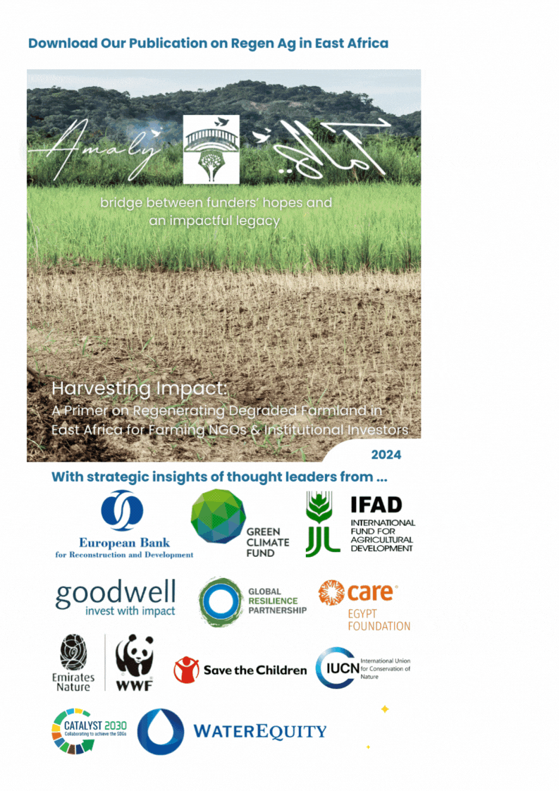 Amaly Regen Ag Studio Publication Cover (2).gif