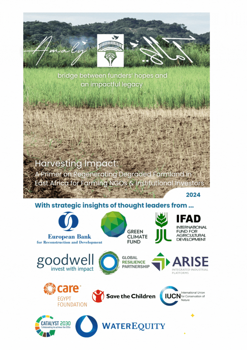 Amaly Regen Ag Studio Publication Cover.gif